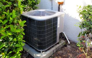 What to Expect From a Professional